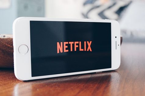 The Netflix logo opens on a phone screen as it loads. Photo by Stock Catalog.