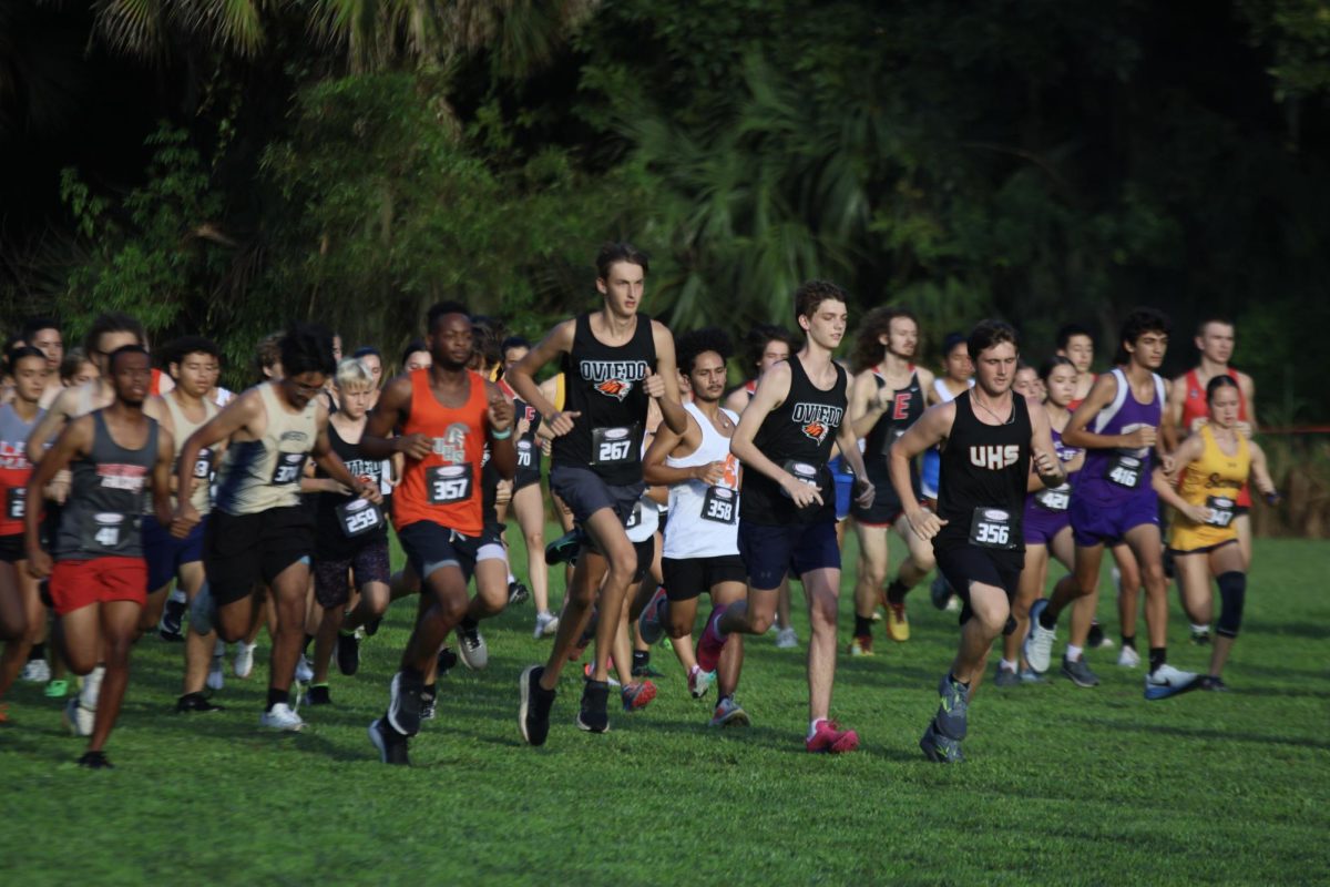 The Oviedo Lion's cross country takes off with a quick start at the beginning of their meet.