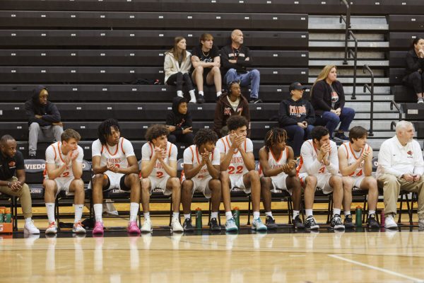 A pack of Lions cheers from the bench.