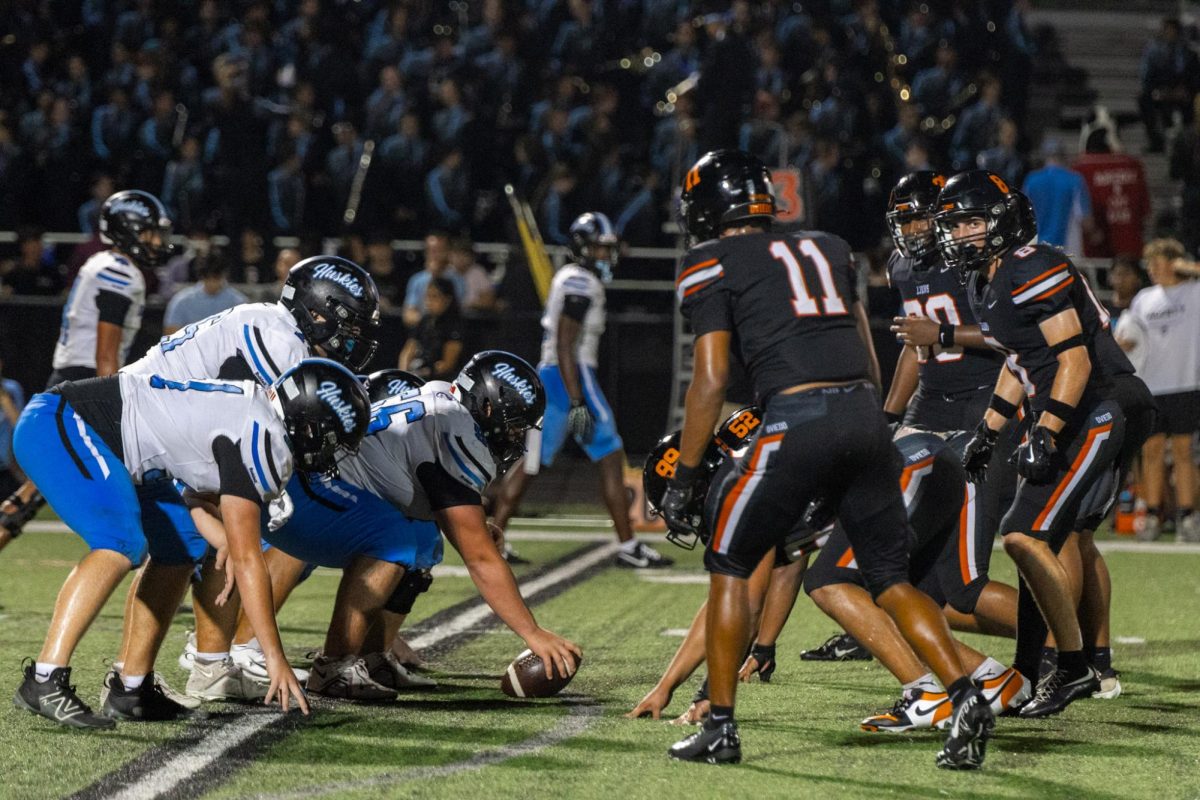 The lions and huskies are face to face, ready for the big rival game. 